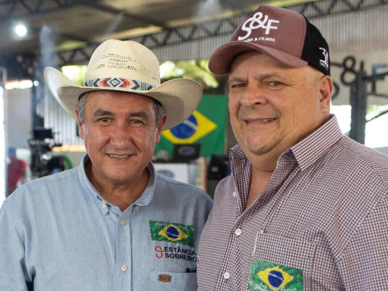 Leilão do Grupo Sobreiro reúne 50 touros Nelore neste sábado em Goiás