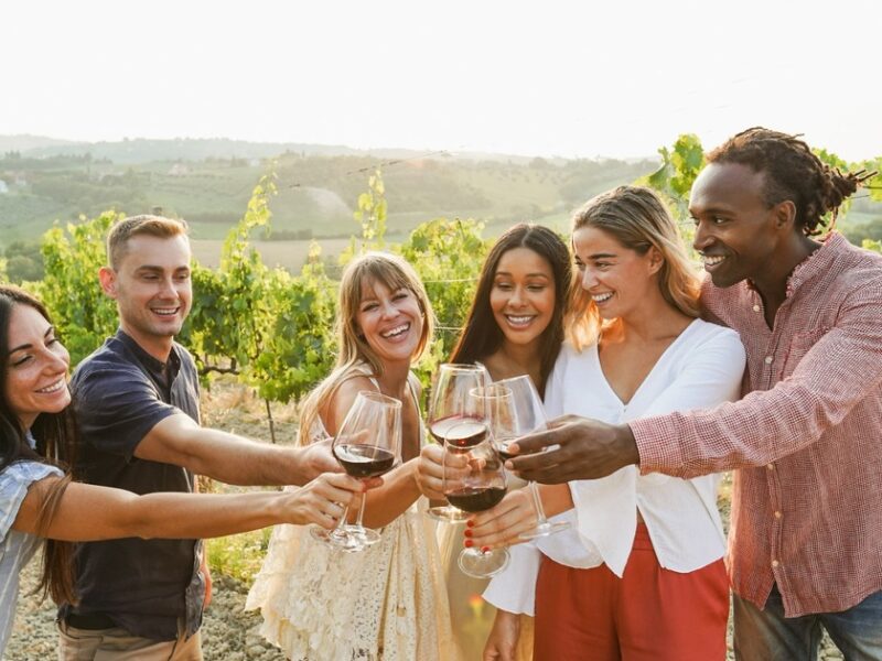 Vindima na Toscana vira roteiro para produzir vinho com rótulo próprio