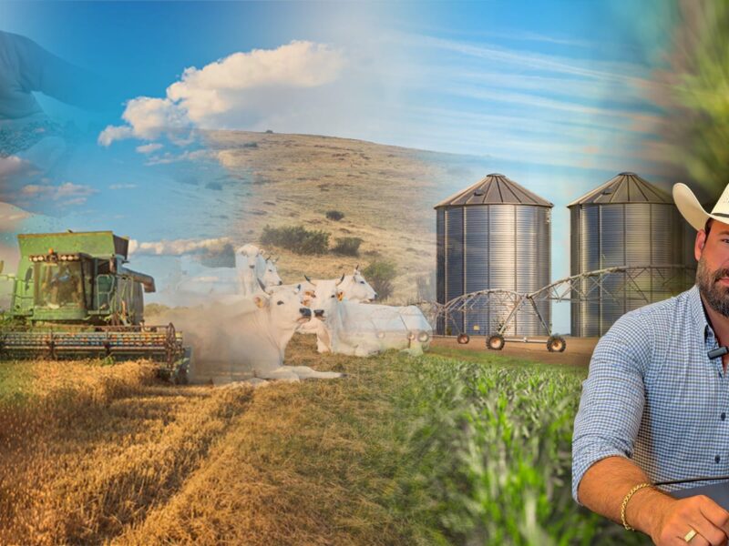 Agronegócio Mais Inteligente: Como Produtores Rurais Estão Blindando Suas Fazendas Contra Novas Crises